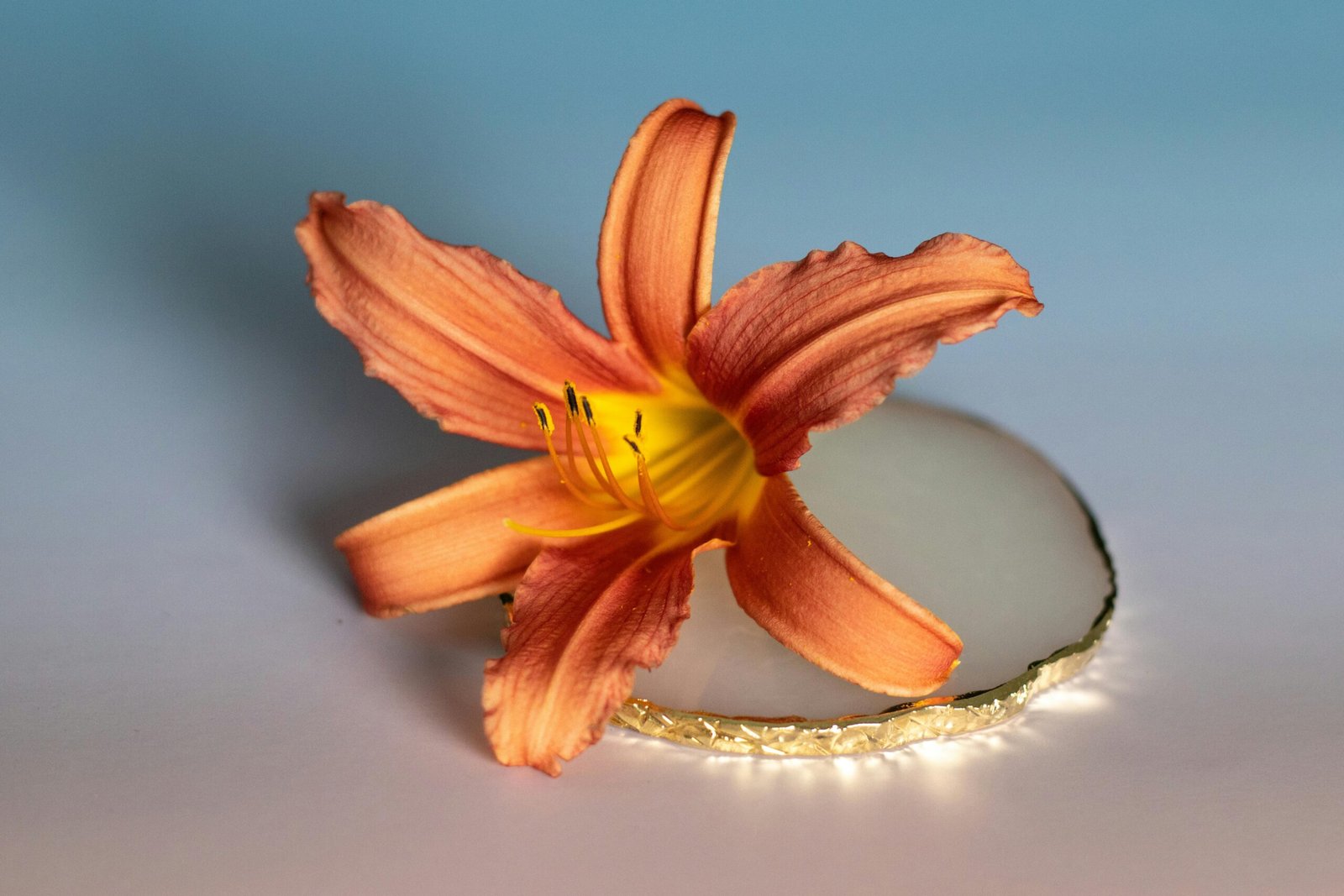 Close-up of a vibrant orange daylily flower elegantly displayed on a polished marble surface.