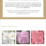 newsletter-fleuriste-entiere